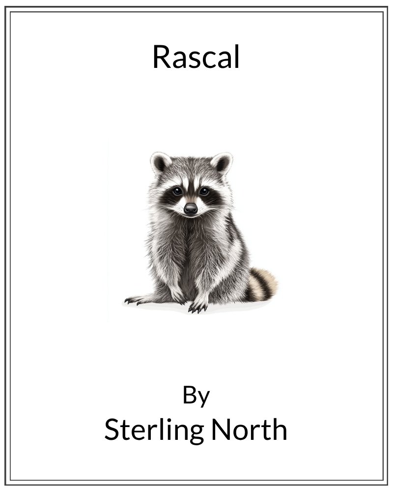 Cover image for Rascal